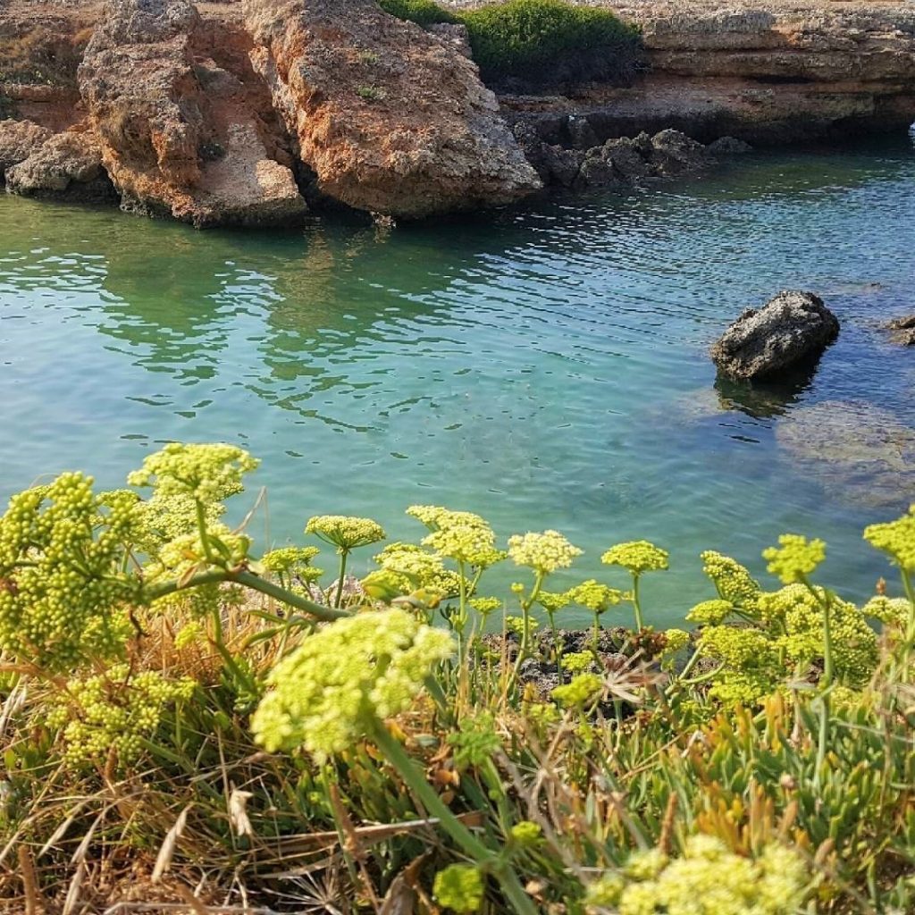 best beach italy puglia secretsand