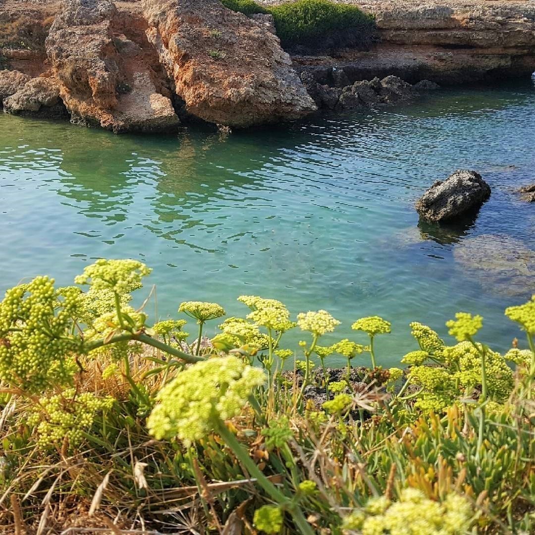 best beach italy puglia secretsand