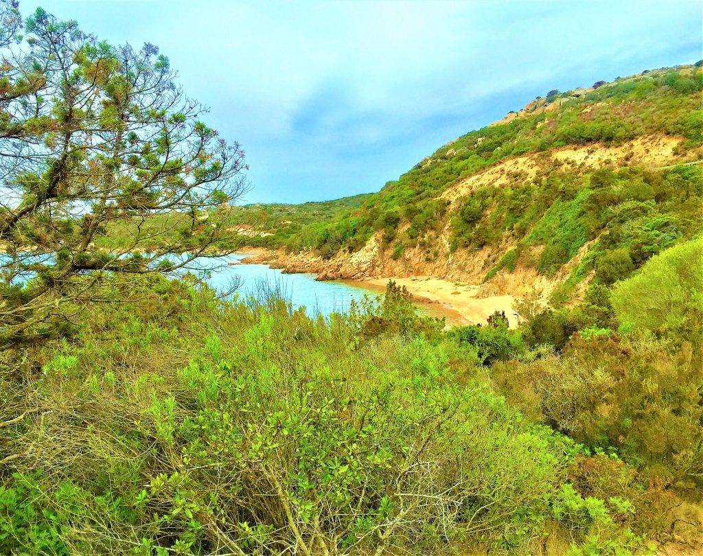 cala lunga Palau