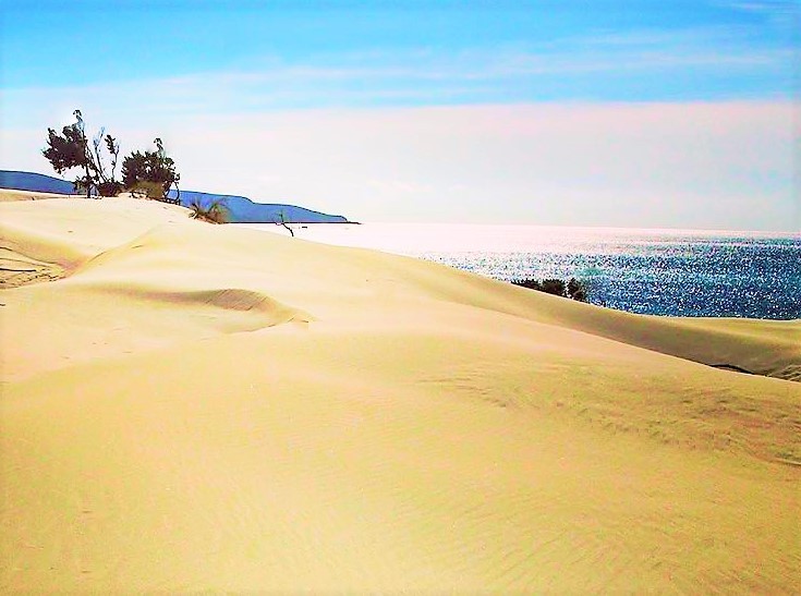 Dune Sardinia Sardegna beach