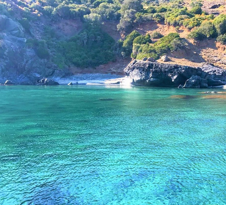 cala barnardu